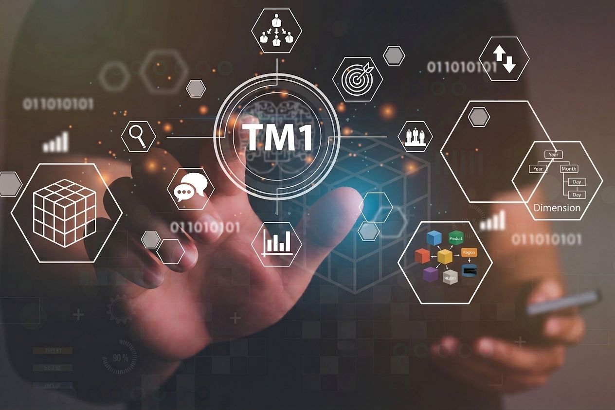 IBM Planning Analytics report
